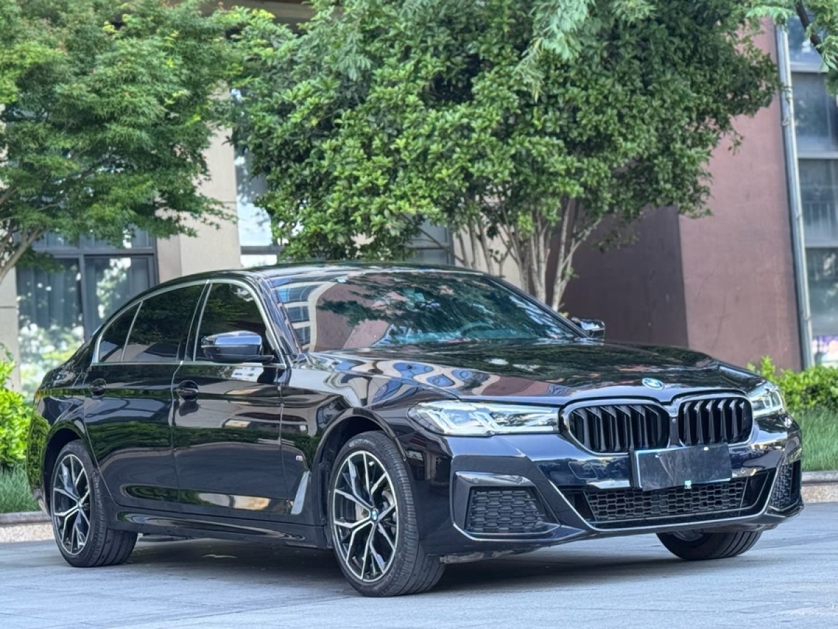 寶馬 寶馬5系  2022款 530Li xDrive 豪華套裝圖片