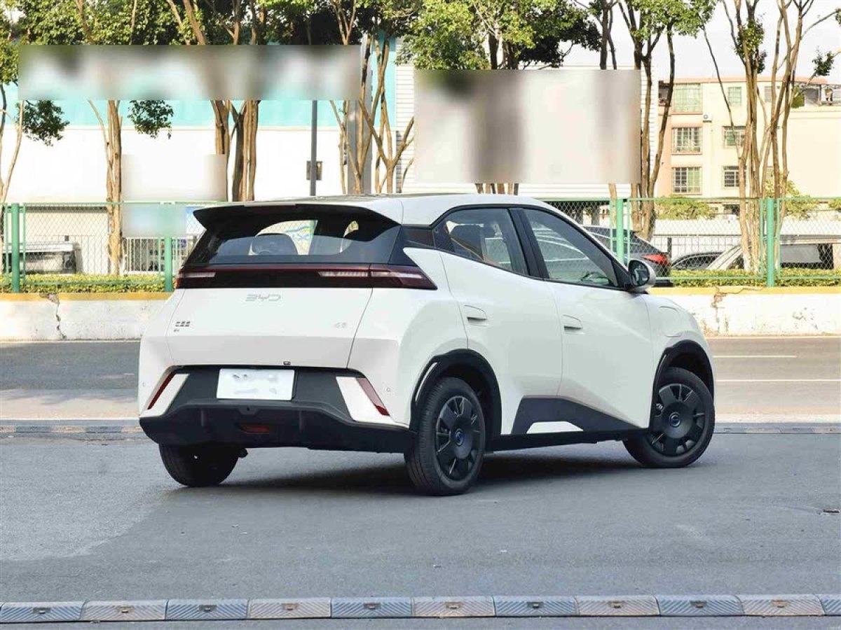 比亞迪 海鷗  2024款 榮耀版 305km 活力版圖片