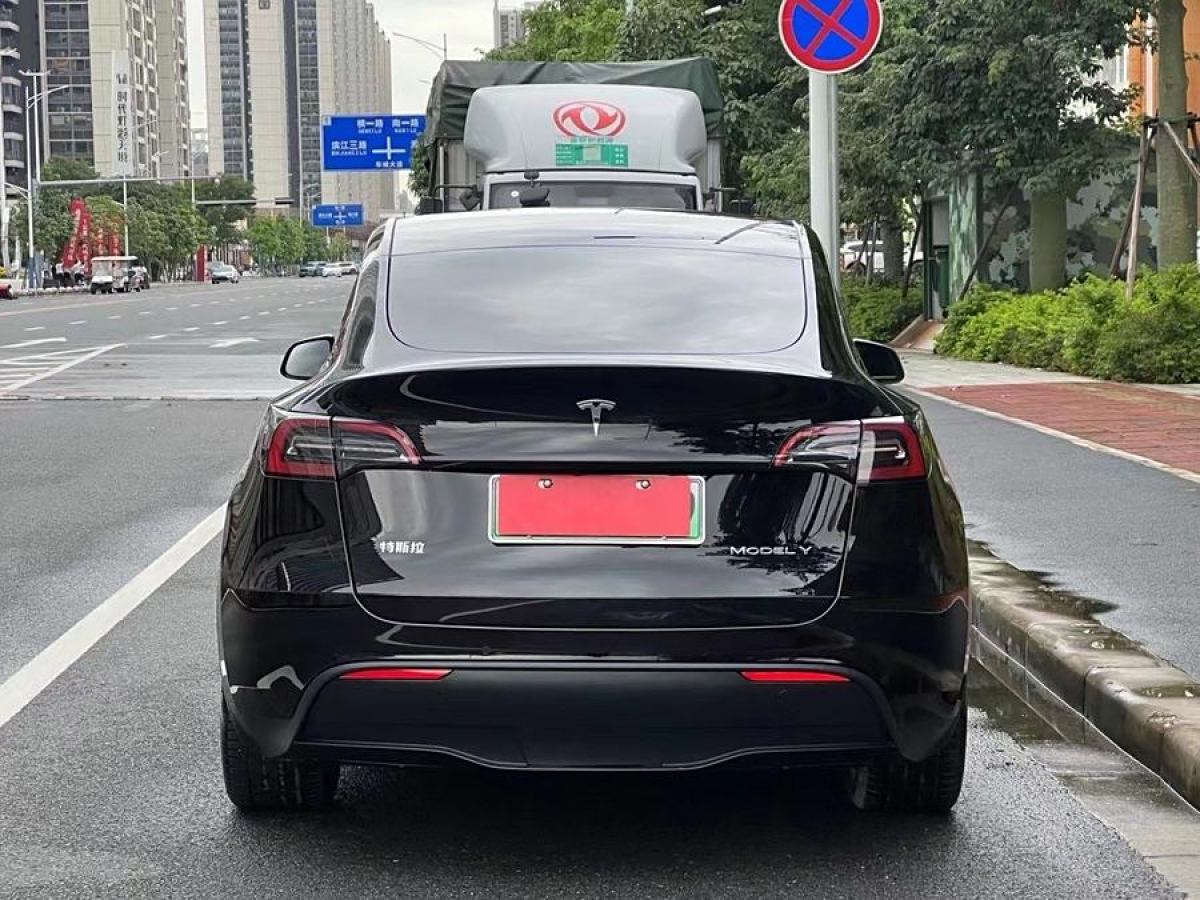 特斯拉 Model Y  2020款 改款 長續(xù)航后輪驅(qū)動版圖片