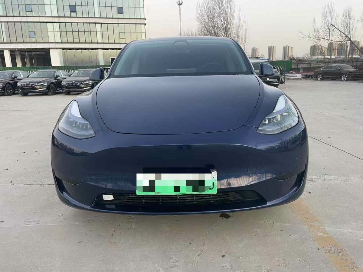 特斯拉 Model Y  2024款 Performance高性能版圖片