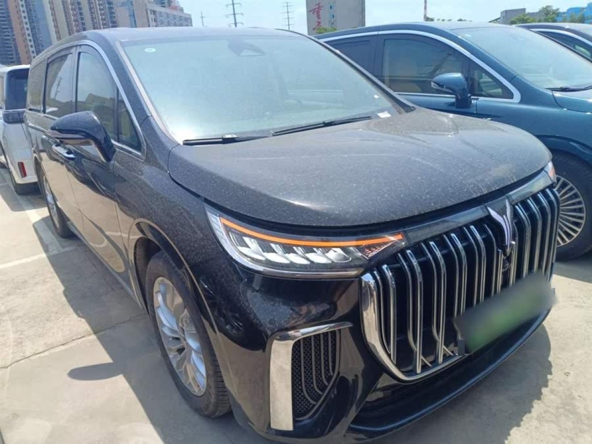 嵐圖 夢(mèng)想家  2024款 PHEV 超長(zhǎng)續(xù)航尊貴版圖片