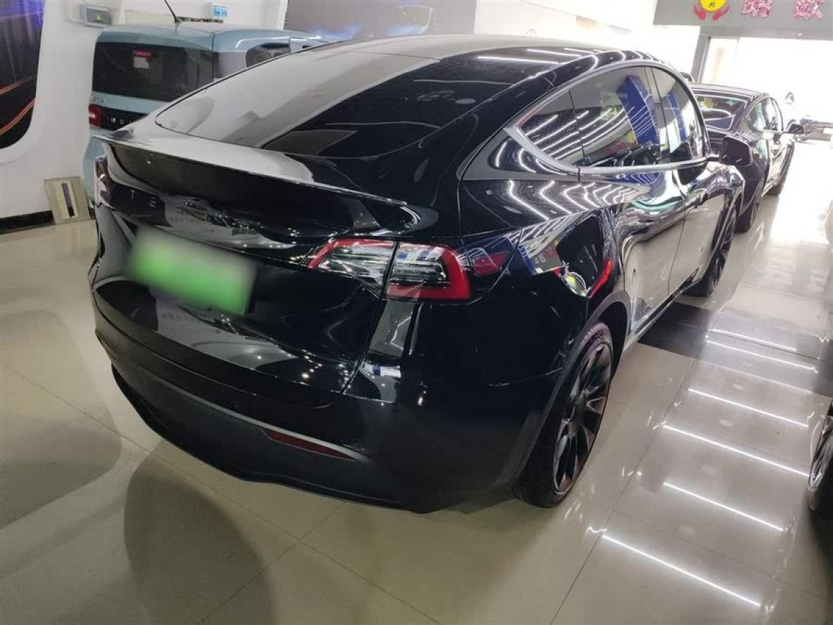特斯拉 Model Y  2021款 標(biāo)準(zhǔn)續(xù)航后驅(qū)版圖片