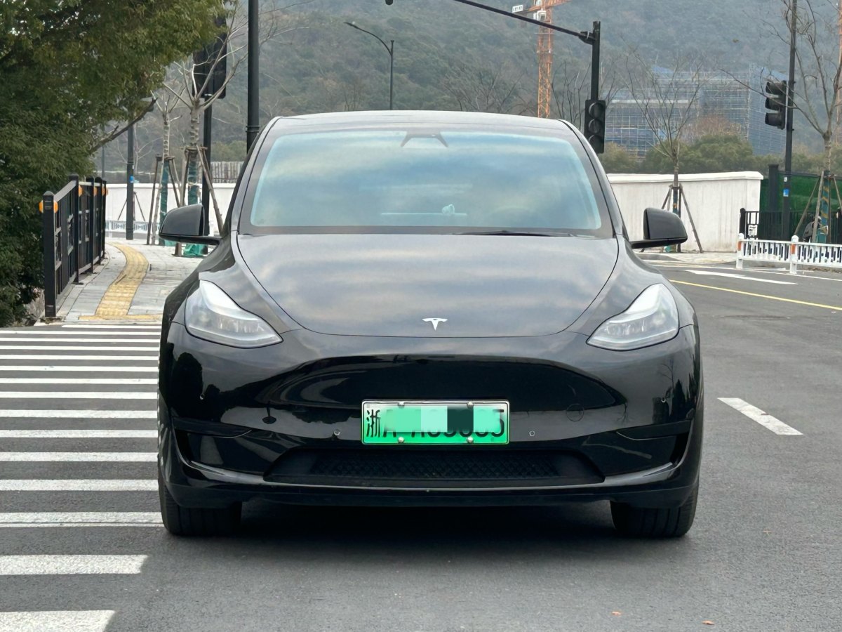 特斯拉 Model 3  2022款 后輪驅(qū)動版圖片