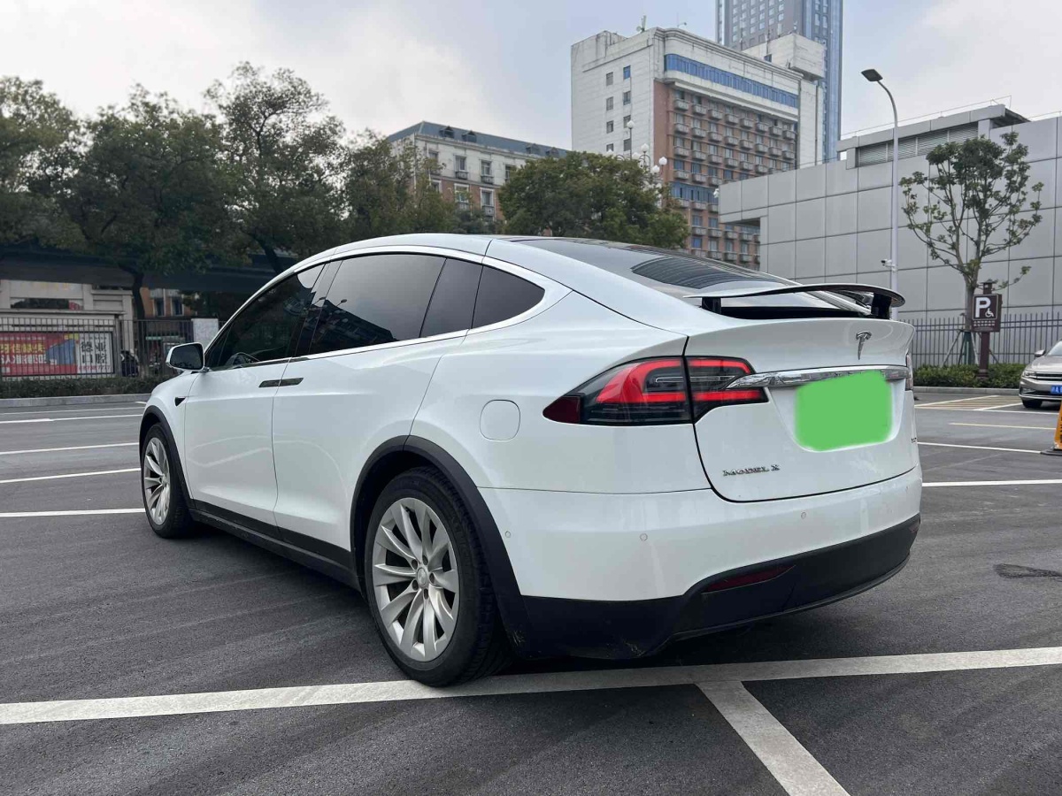 特斯拉 Model X  2017款 Model X 100D 長續(xù)航版圖片