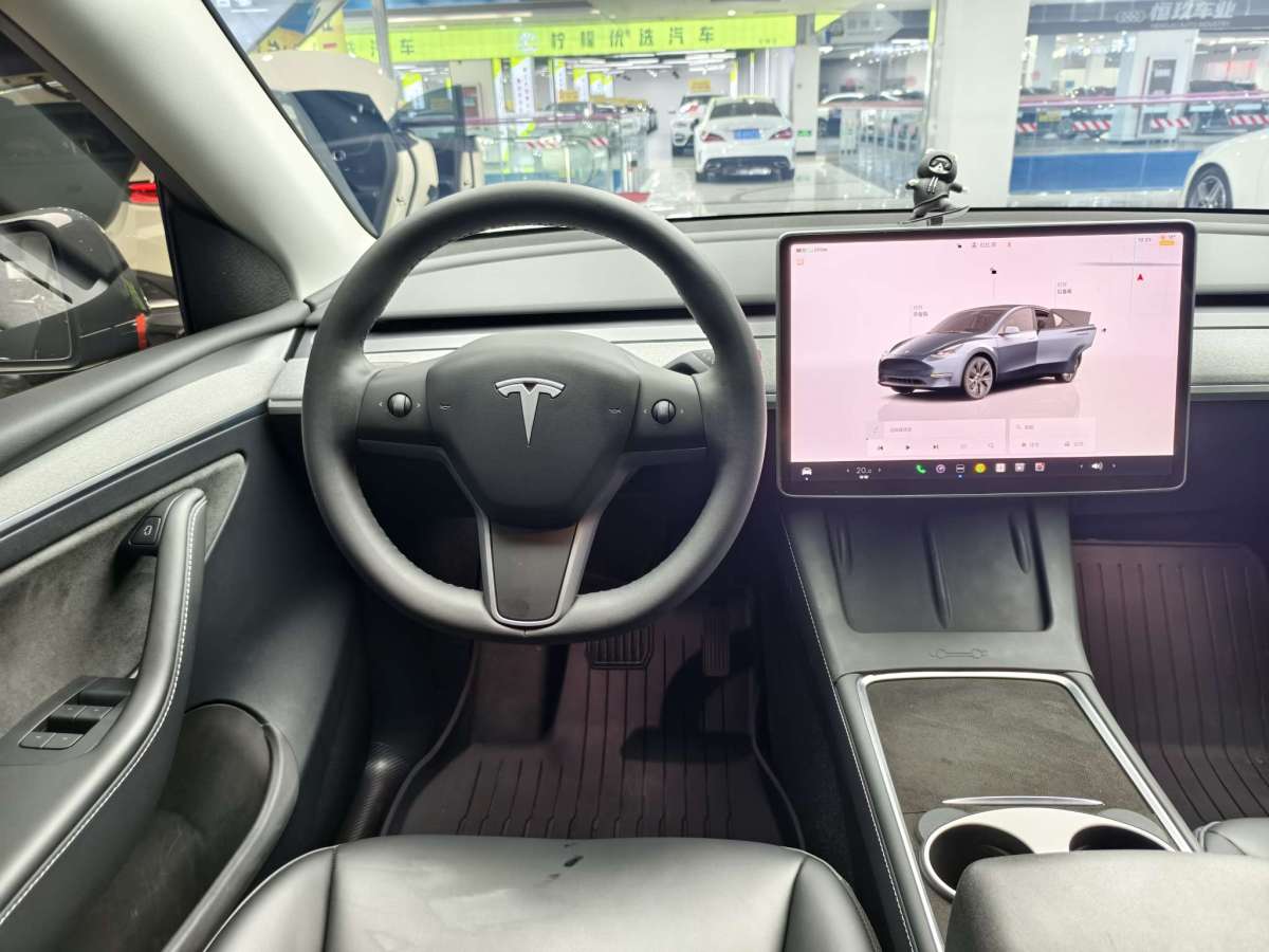 特斯拉 Model Y  2022款 后轮驱动版图片