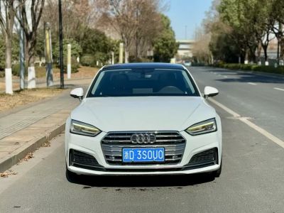 2017年1月 奧迪 奧迪A5(進口) Cabriolet 40 TFSI 時尚型圖片