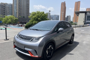 海豚 比亞迪 405km 時尚版