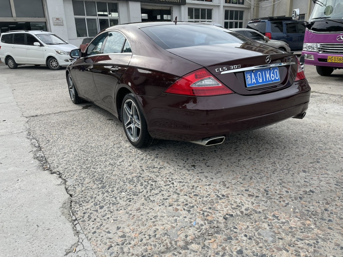 奔馳 奔馳CLS級(jí)  2009款 CLS 300圖片