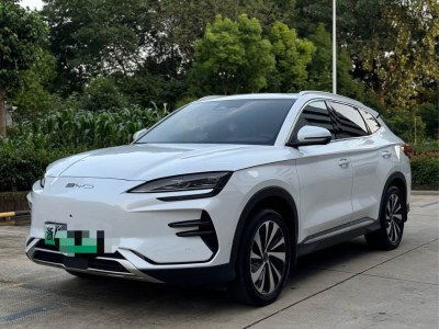 2024年12月 比亞迪 元UP 401KM 活力版圖片