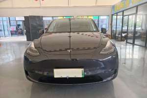 Model Y 特斯拉 后輪驅(qū)動(dòng)版