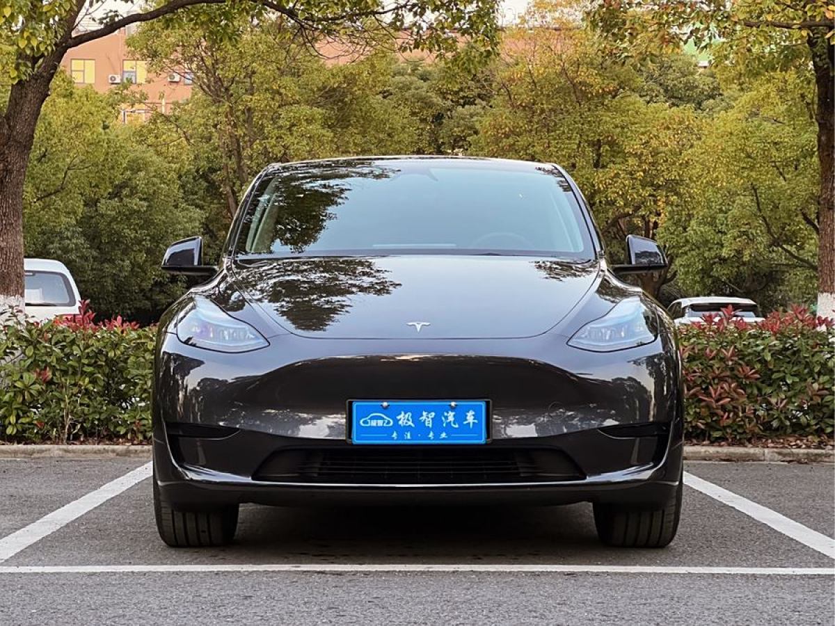 特斯拉 Model 3  2020款 改款 長續(xù)航后輪驅(qū)動(dòng)版圖片