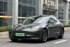 Model 3 特斯拉 标准续航后驱升级版