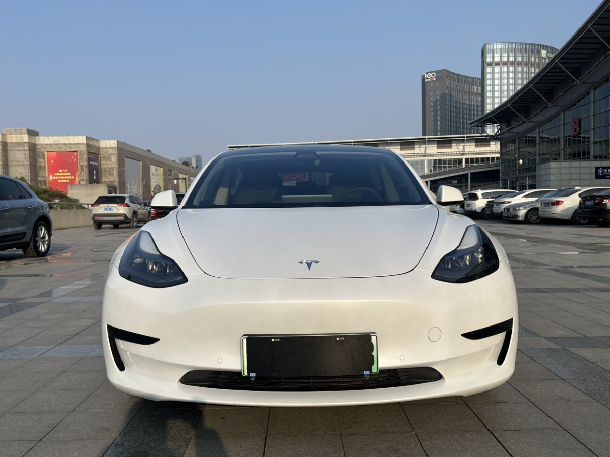 特斯拉 Model 3  2019款 標(biāo)準(zhǔn)續(xù)航后驅(qū)升級版圖片