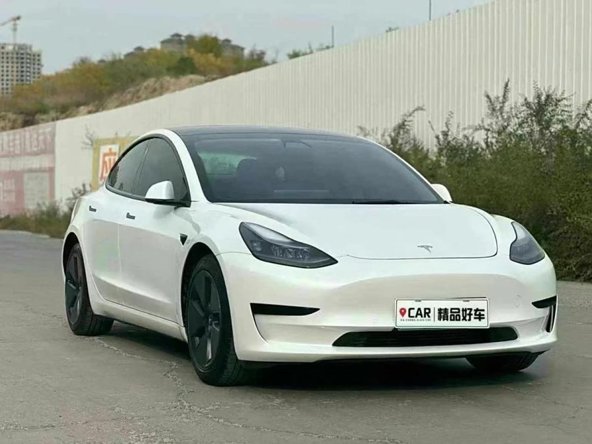 特斯拉 Model 3  2019款 標(biāo)準(zhǔn)續(xù)航后驅(qū)升級版圖片