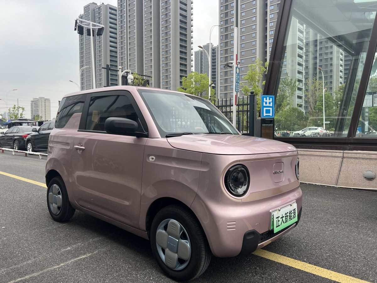 吉利 熊貓mini  2023款 200km 耐力熊圖片