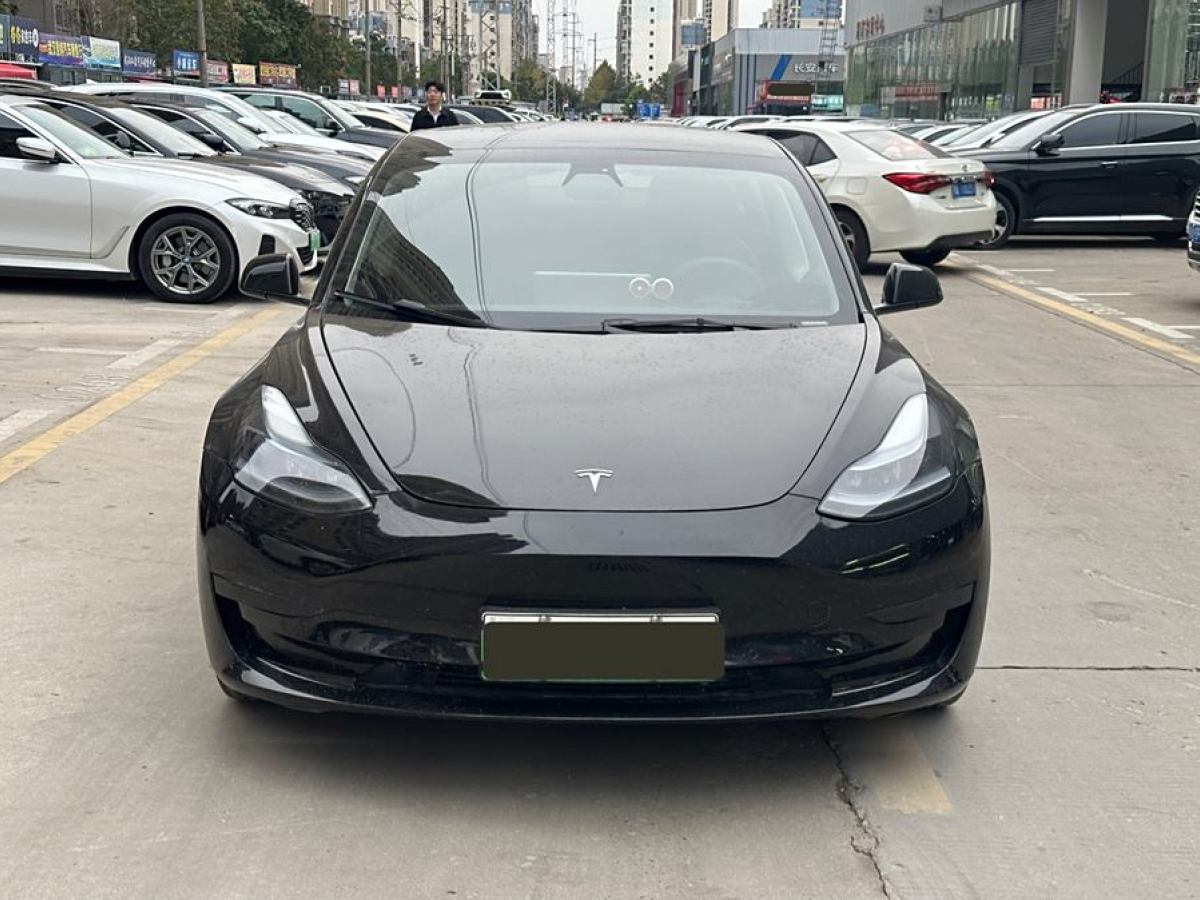 特斯拉 Model 3  2019款 標(biāo)準(zhǔn)續(xù)航后驅(qū)升級(jí)版圖片