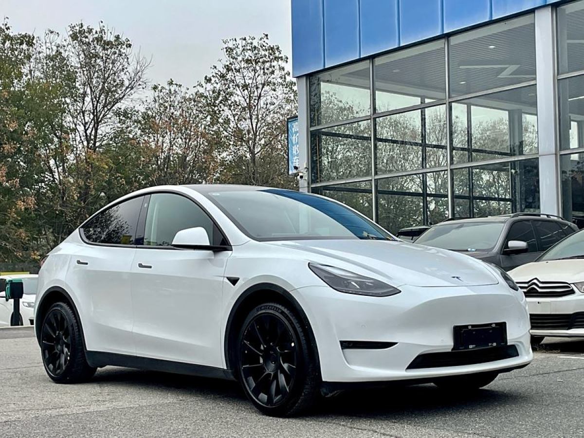 特斯拉 Model Y  2021款 長續(xù)航全輪驅動版 3D7圖片