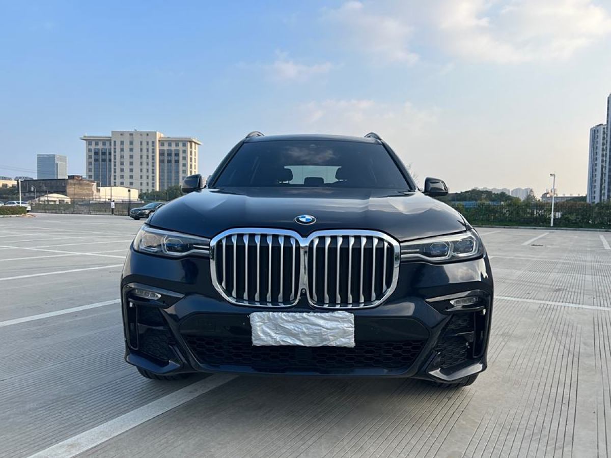 寶馬 寶馬X7  2019款  xDrive40i 領(lǐng)先型豪華套裝圖片