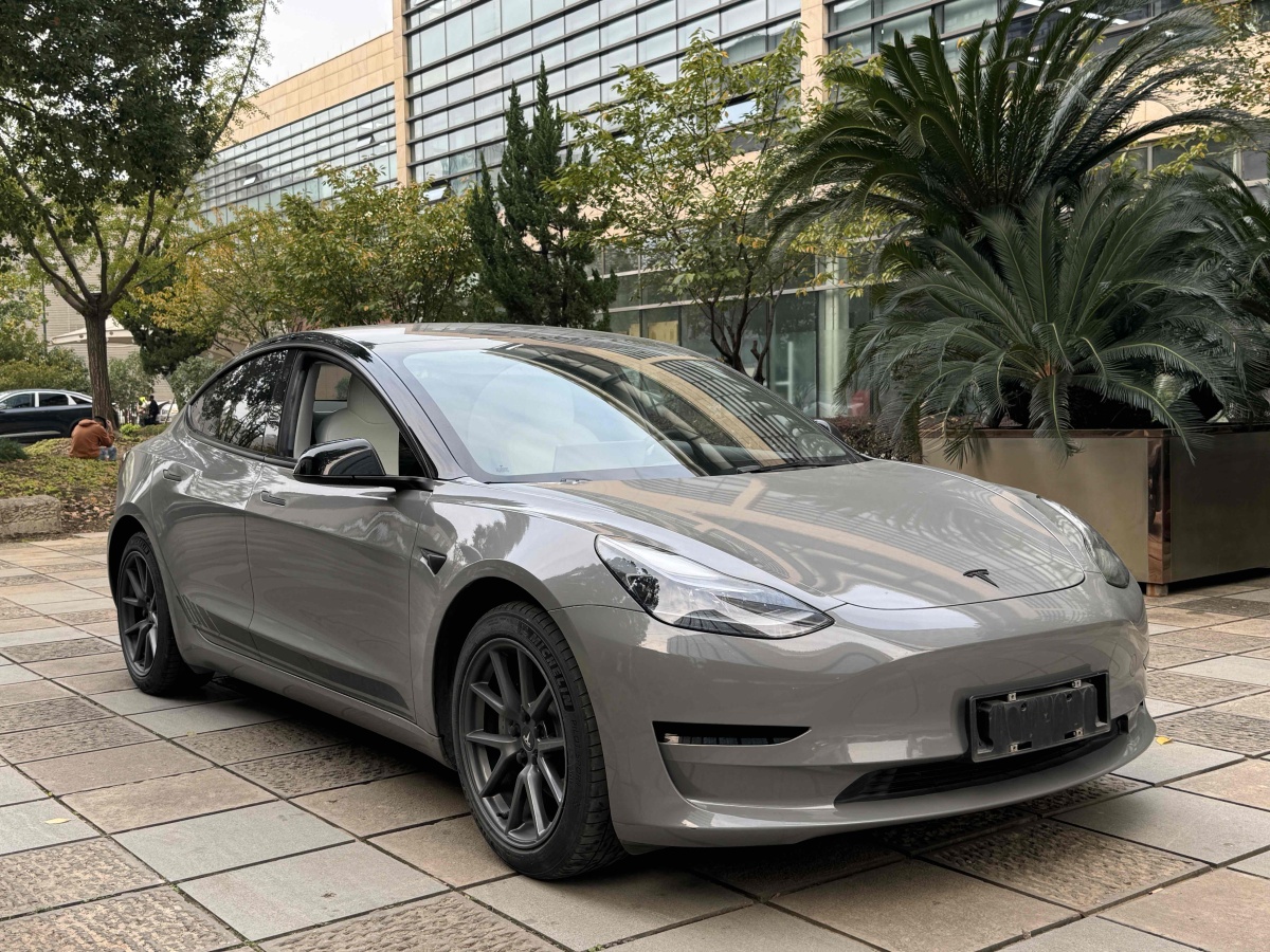 特斯拉 Model 3  2019款 標(biāo)準(zhǔn)續(xù)航后驅(qū)升級(jí)版圖片