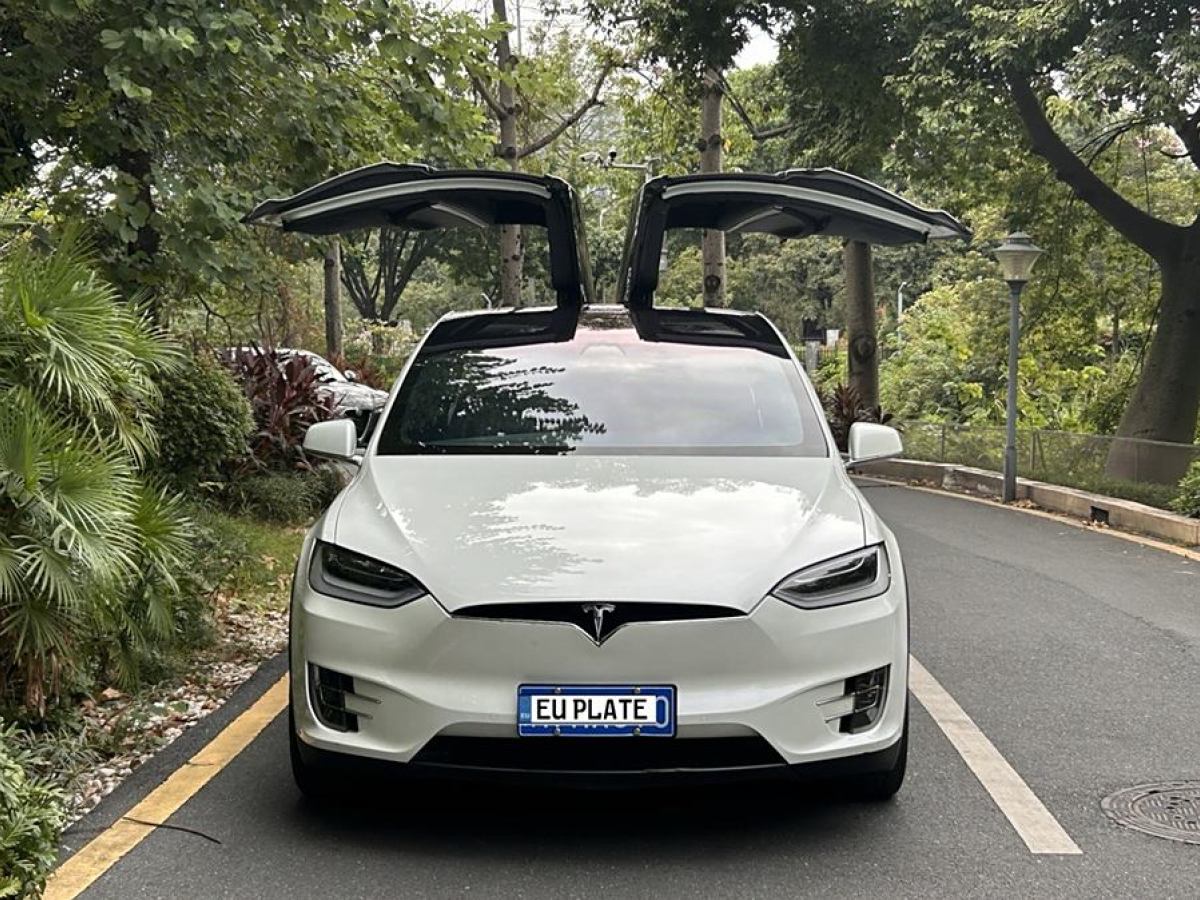 特斯拉 Model X  2016款 Model X 75D圖片