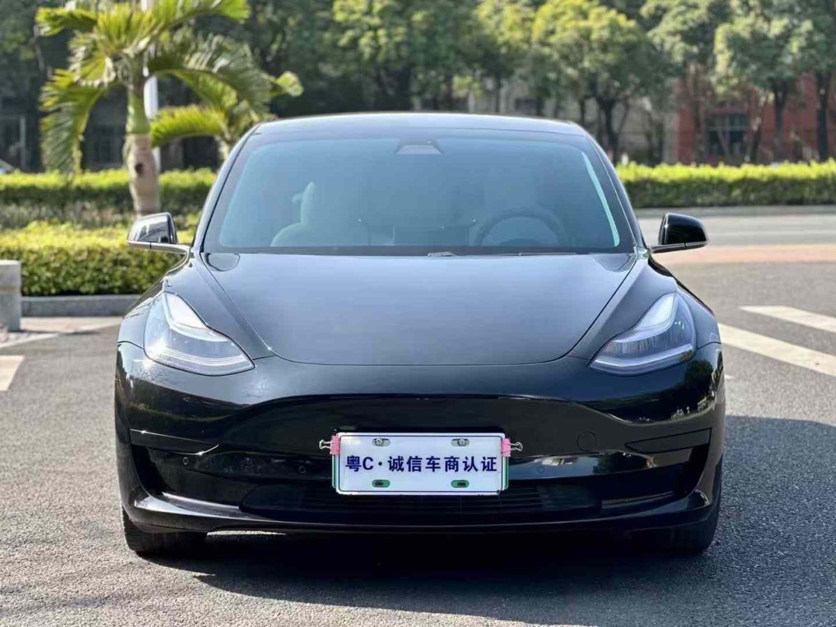 特斯拉 Model 3  2020款 標準續(xù)航后驅(qū)升級版圖片