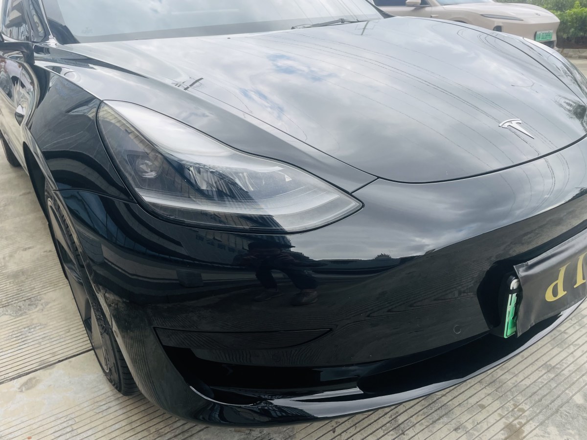 特斯拉 Model 3  2019款 標(biāo)準(zhǔn)續(xù)航后驅(qū)升級(jí)版圖片