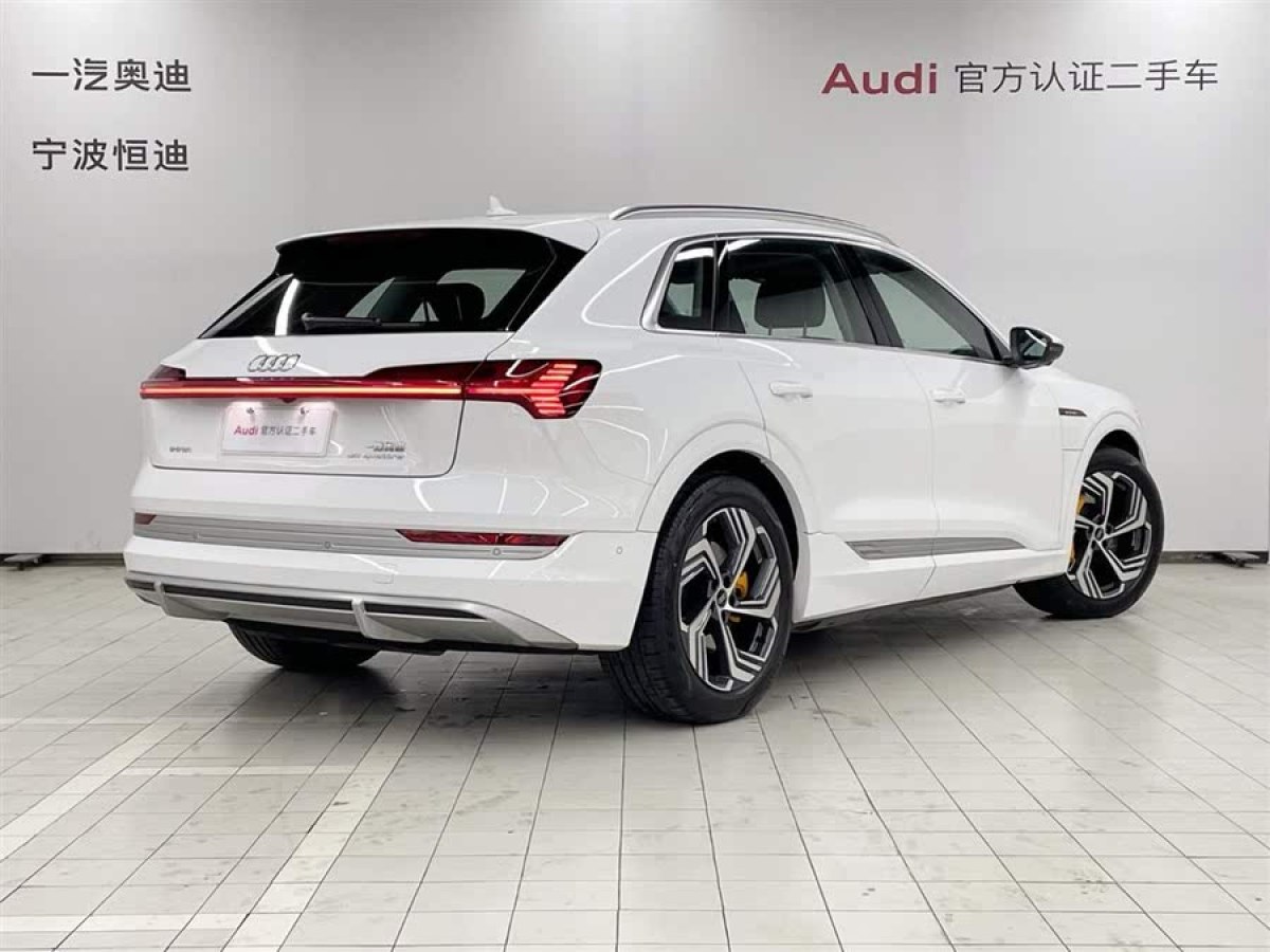 奧迪 奧迪e-tron  2021款 50 quattro 臻選型圖片