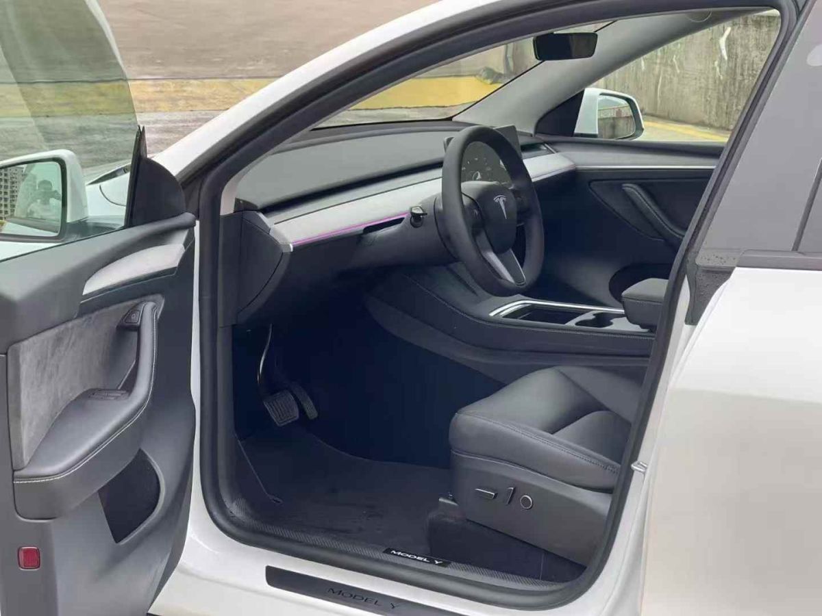 特斯拉 Model Y  2024款 Performance高性能版圖片
