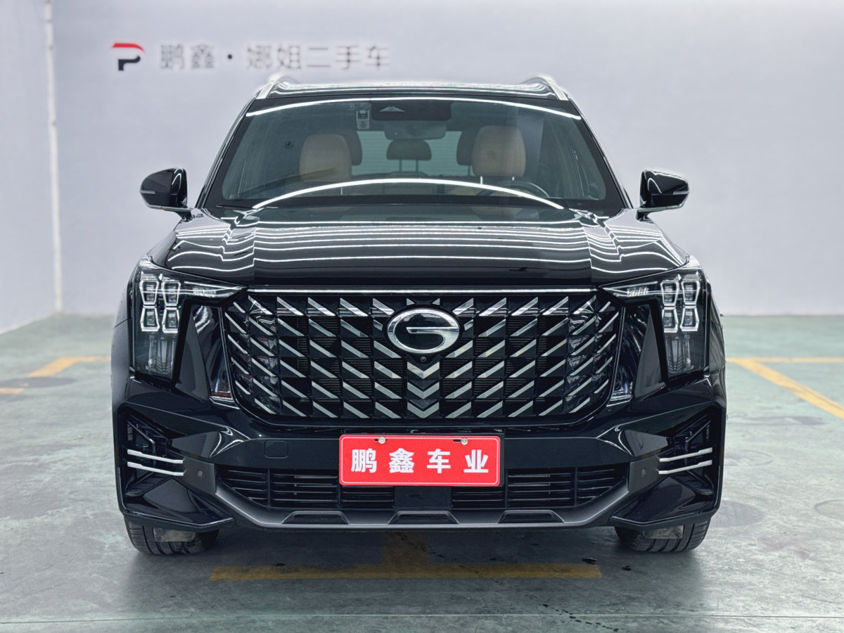 廣汽傳祺 GS8  2022款 領(lǐng)航系列 2.0TGDI 兩驅(qū)豪華智聯(lián)版（七座）圖片