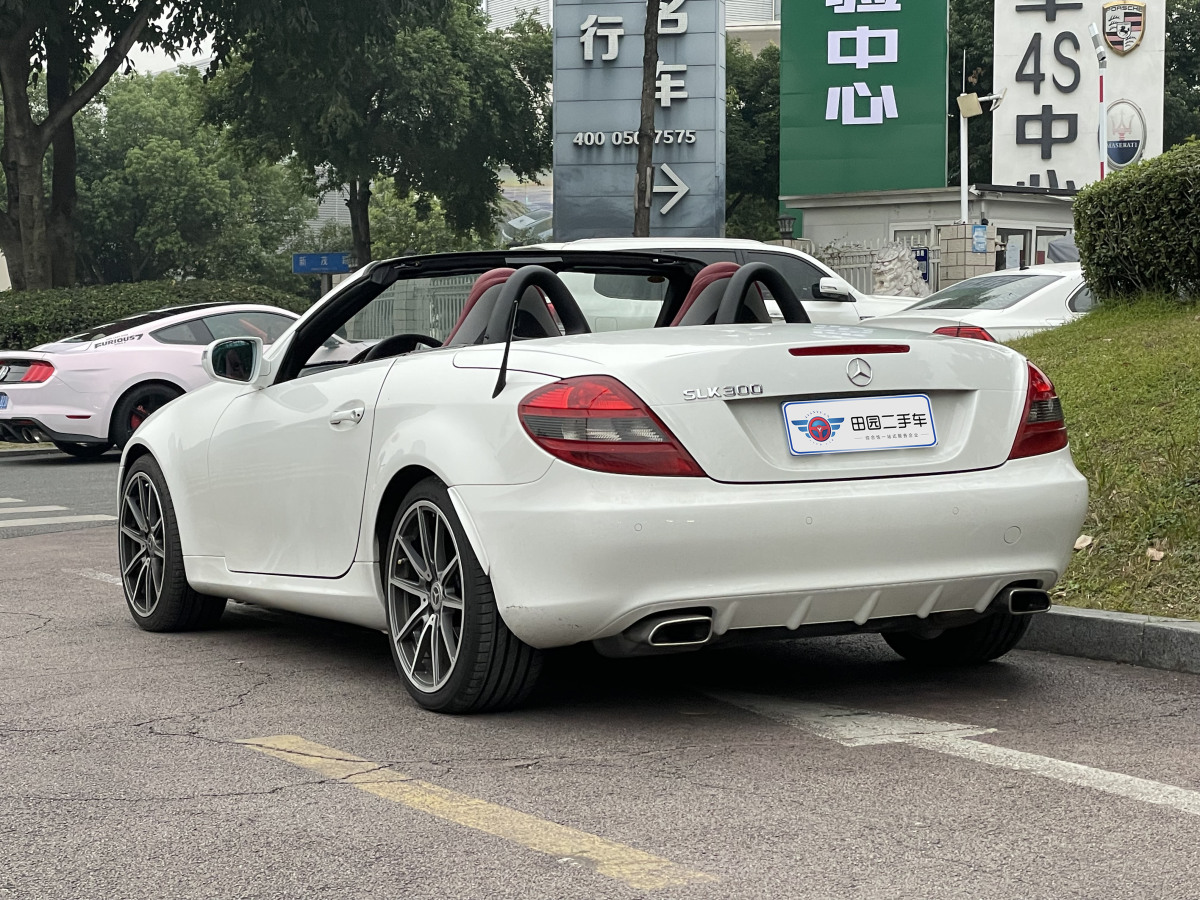 奔馳 奔馳SLK級(jí)  2009款 SLK 300 黑白經(jīng)典版圖片