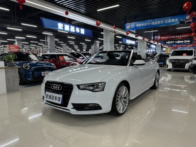 2015年12月 奧迪 奧迪A5(進(jìn)口) Cabriolet 45 TFSI風(fēng)尚版圖片