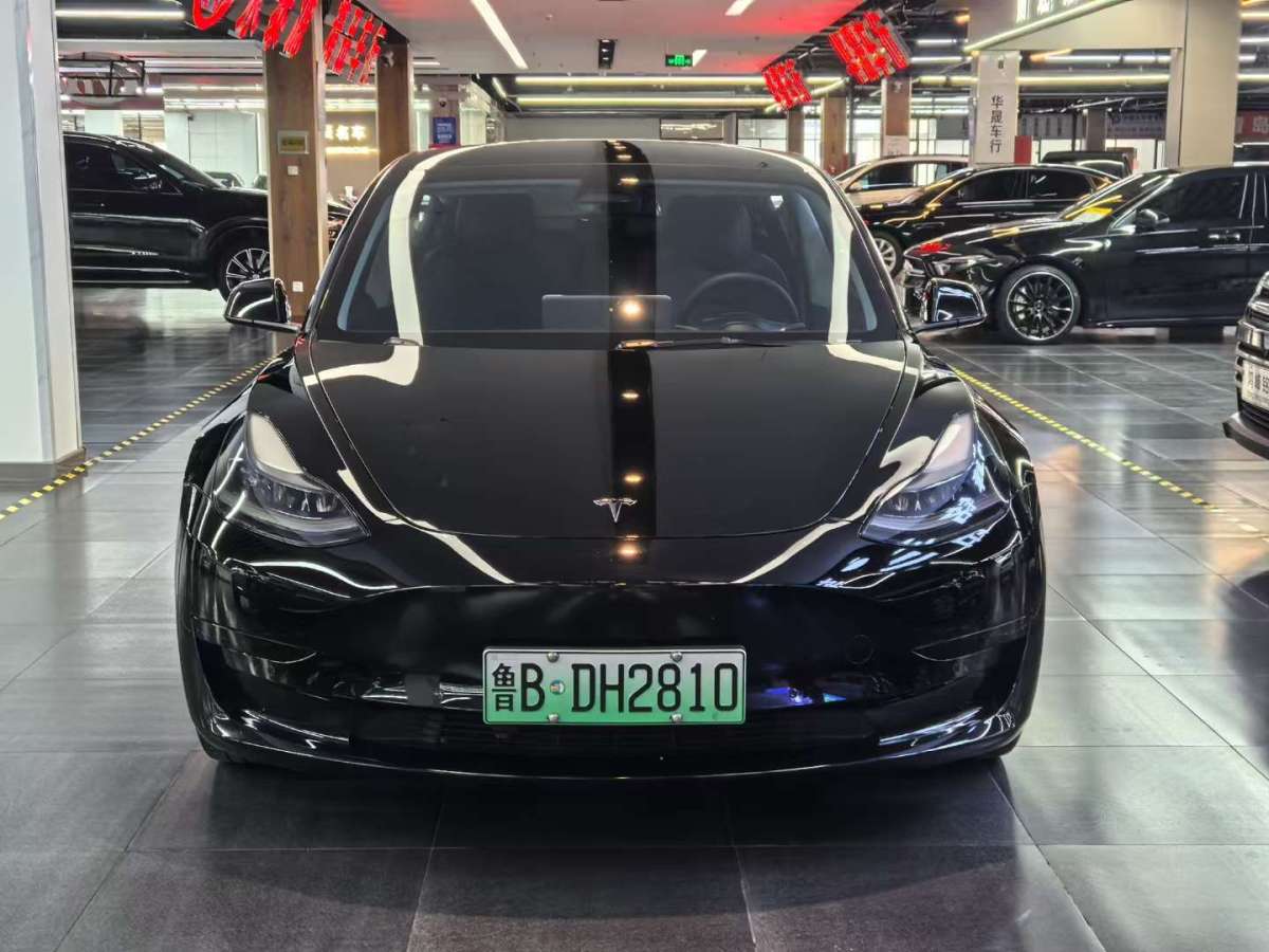 特斯拉 Model 3  2021款 標(biāo)準(zhǔn)續(xù)航后驅(qū)升級(jí)版圖片