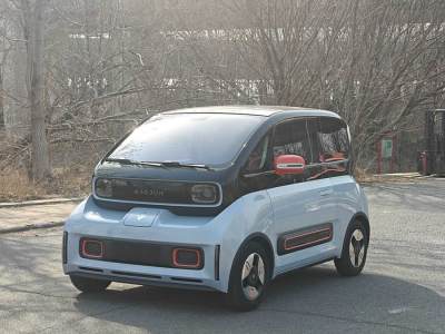 2021年11月 寶駿 寶駿KiWi EV 藝術(shù)家 三元鋰圖片