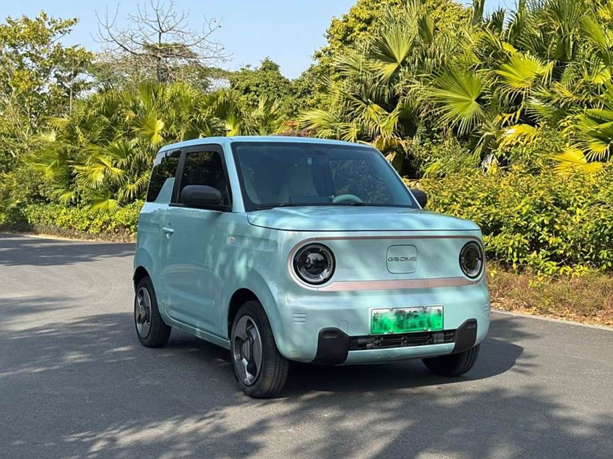 吉利 熊貓mini  2023款 200km 靈動(dòng)熊圖片