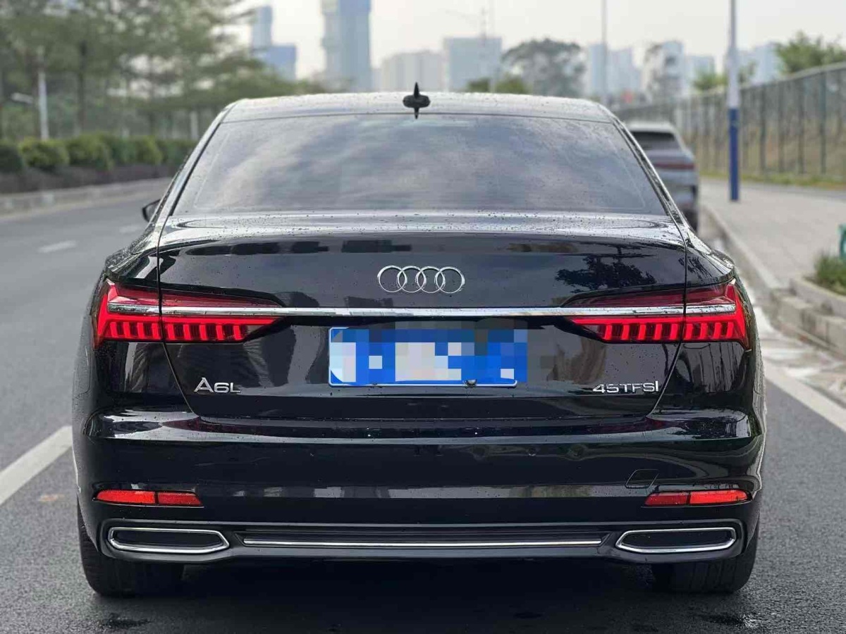 奧迪 奧迪A6L  2019款 45 TFSI 臻選致雅型圖片