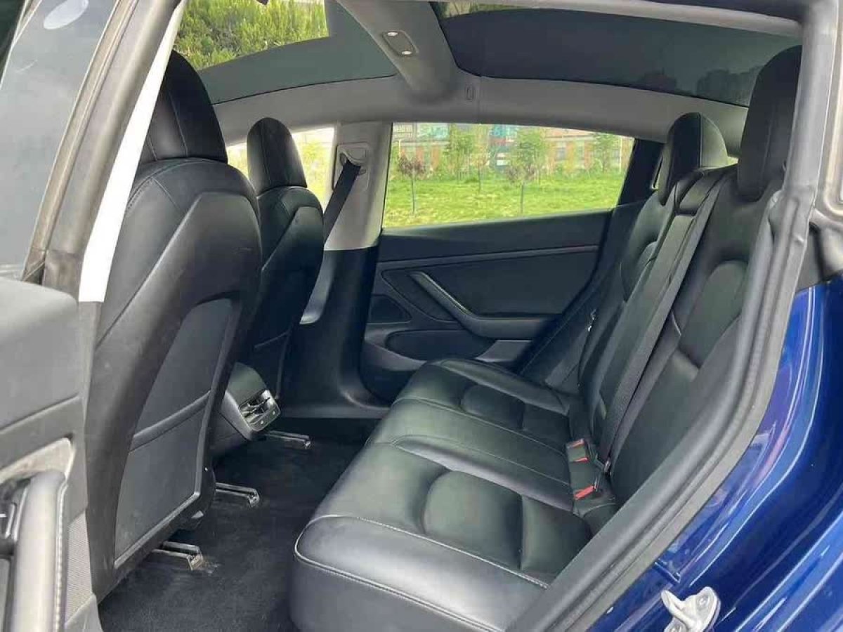 特斯拉 Model 3  2019款 標(biāo)準(zhǔn)續(xù)航后驅(qū)升級(jí)版圖片