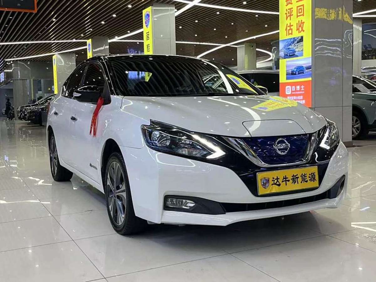 日產 軒逸?純電  2018款 智尊版圖片