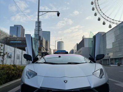 2013年6月 蘭博基尼 Aventador LP 700-4 Roadster圖片