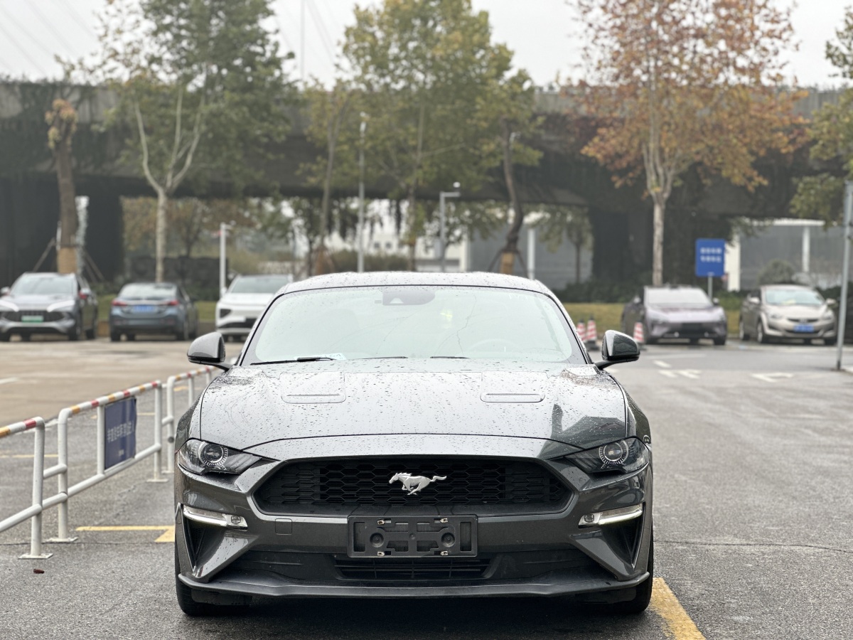 福特 Mustang  2020款 2.3L EcoBoost圖片