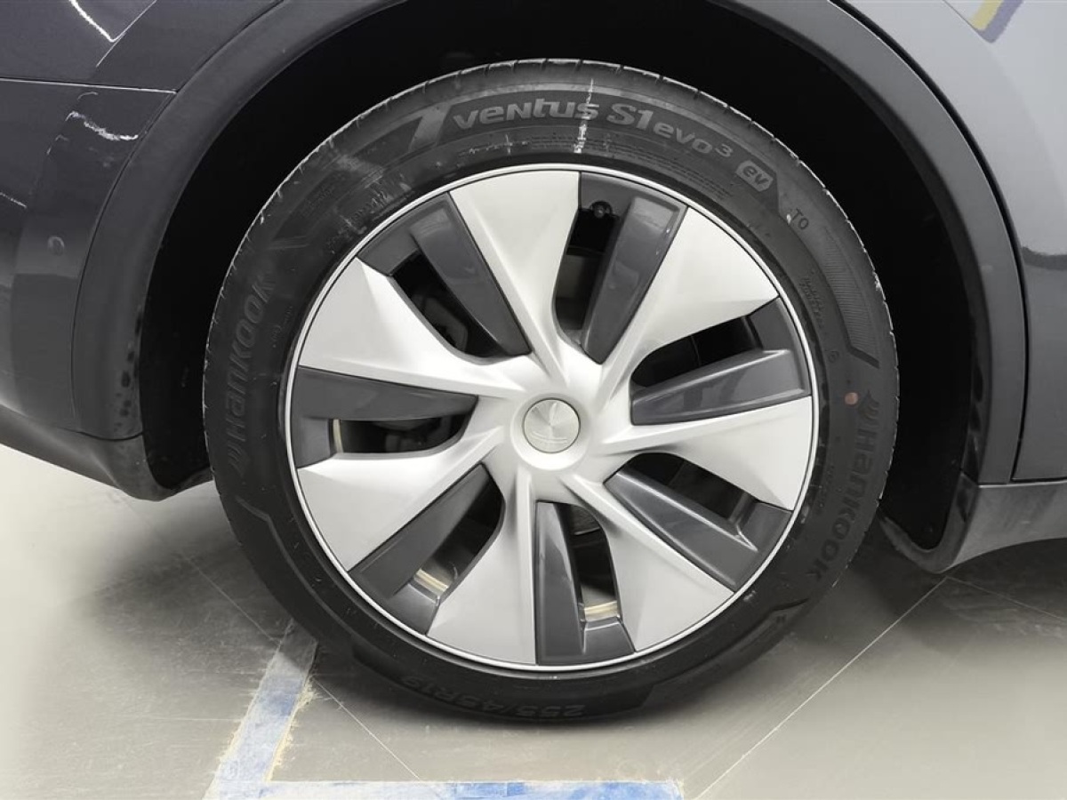 特斯拉 Model Y  2021款 標(biāo)準(zhǔn)續(xù)航后驅(qū)版圖片