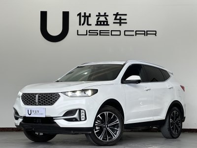 2020年10月 WEY VV6 2.0T 兩驅(qū)智享+圖片