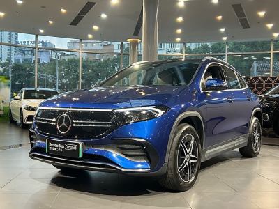 2022年1月 奔馳 奔馳EQA EQA 300 4MATIC 首發(fā)特別版圖片