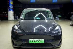Model Y 特斯拉 改款 后輪驅(qū)動版