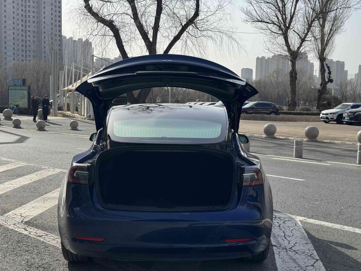 特斯拉 Model 3  2020款 改款 標(biāo)準(zhǔn)續(xù)航后驅(qū)升級版圖片