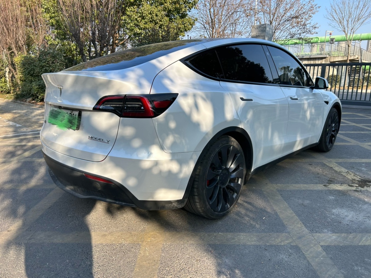 特斯拉 Model Y  2023款 高性能全輪驅(qū)動(dòng)版圖片