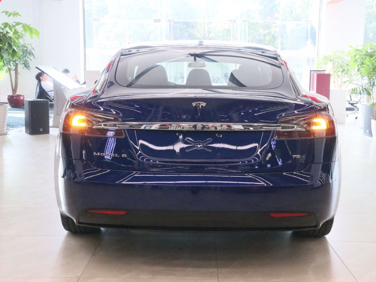 特斯拉 Model S  2017款 Model S 75圖片