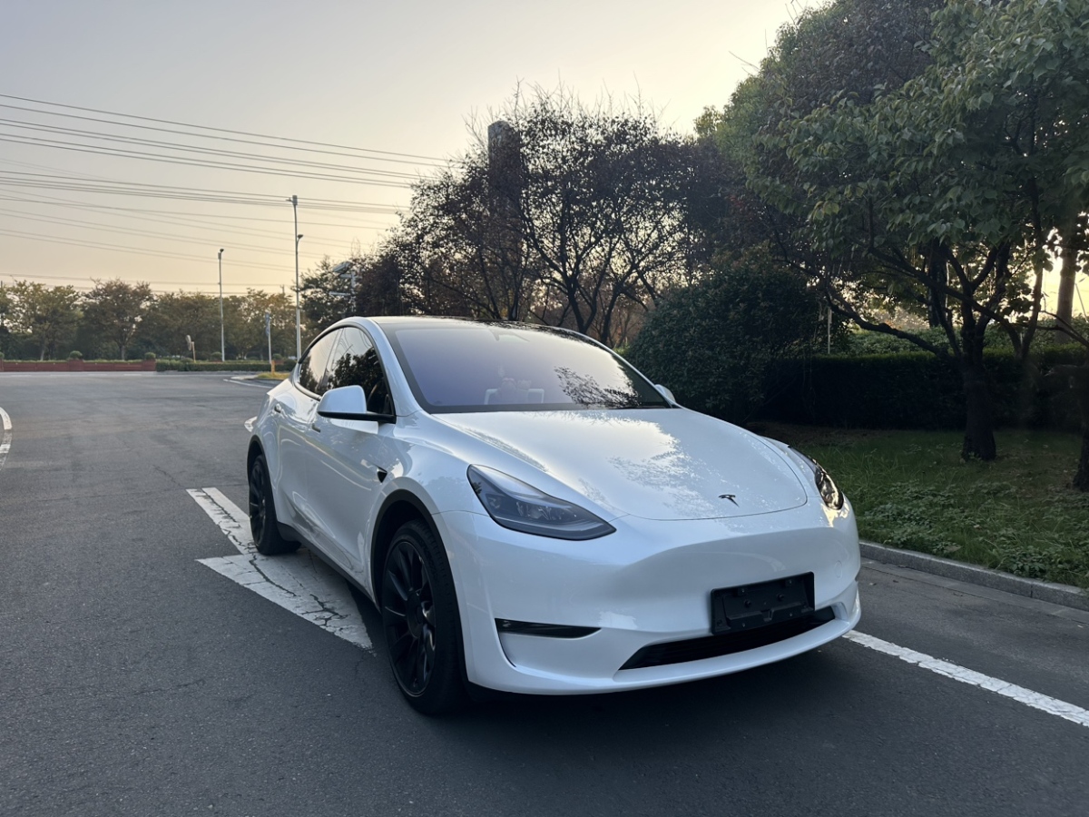 特斯拉 Model 3  2024款 長(zhǎng)續(xù)航全輪驅(qū)動(dòng)版圖片