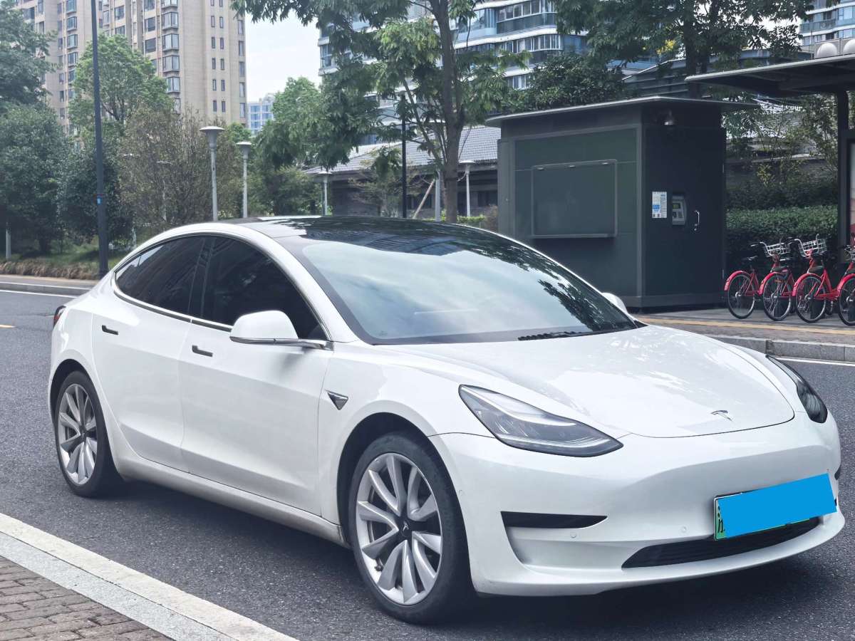 特斯拉 Model 3  2019款 標(biāo)準(zhǔn)續(xù)航后驅(qū)升級(jí)版圖片