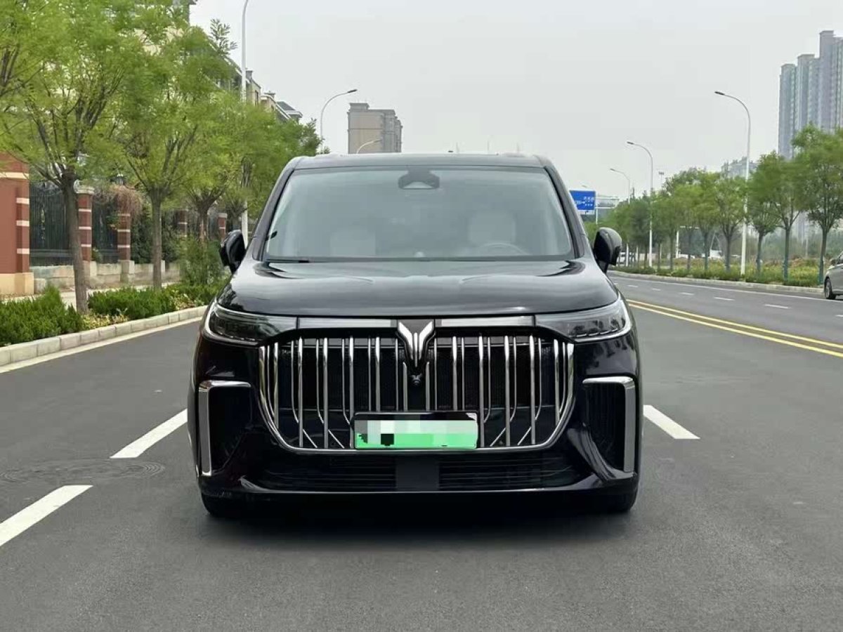 嵐圖 夢(mèng)想家  2024款 PHEV 超長(zhǎng)續(xù)航尊貴版圖片