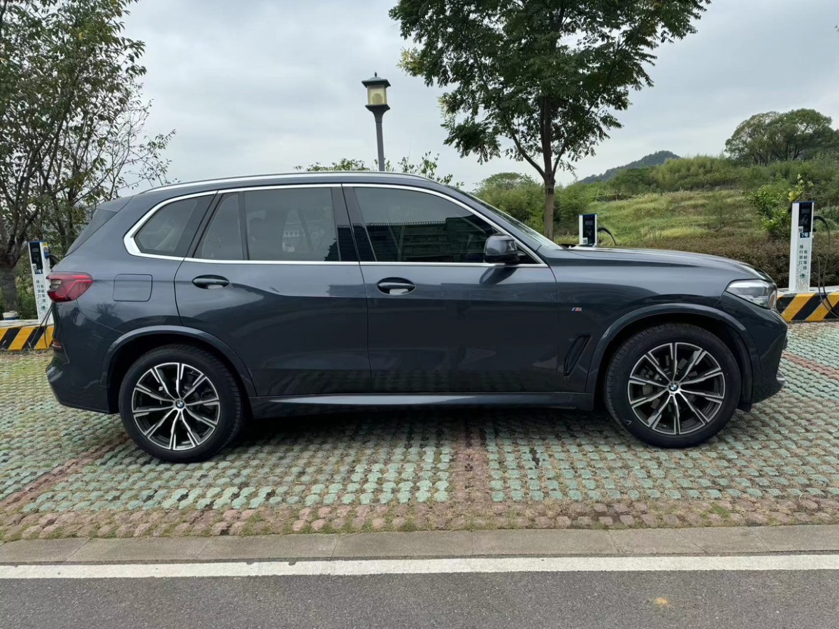 寶馬 寶馬X5  2020款 xDrive30i X設(shè)計(jì)套裝圖片